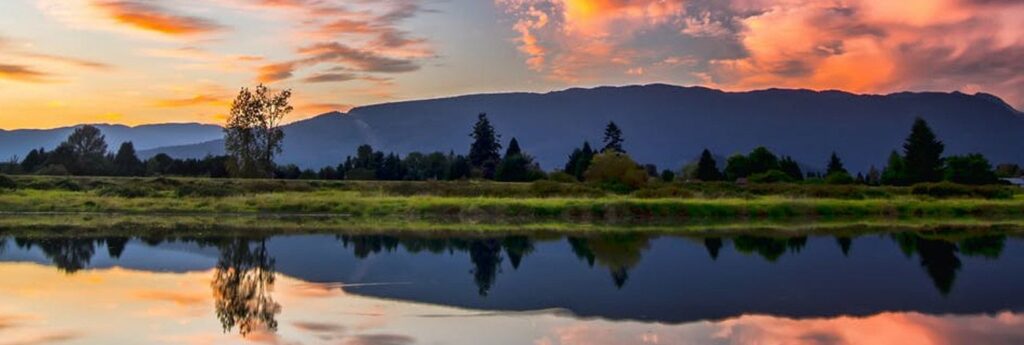 Banner Reflection